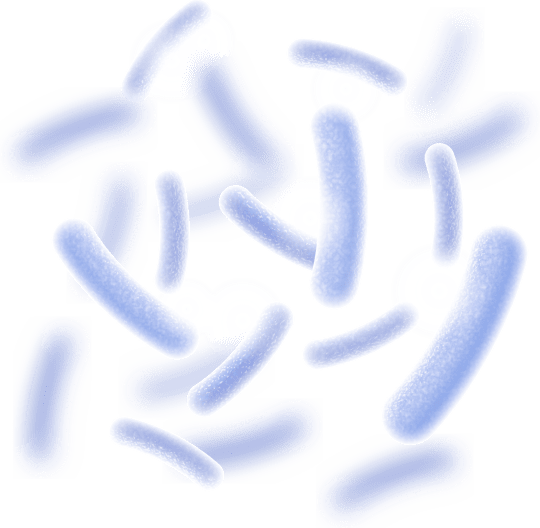 Synaptigen Ingredient 2